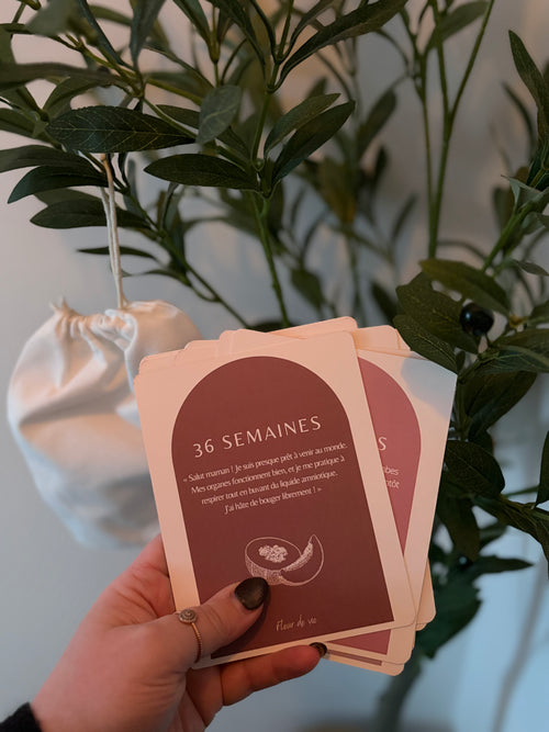 Cartes d'étape de Grossesse