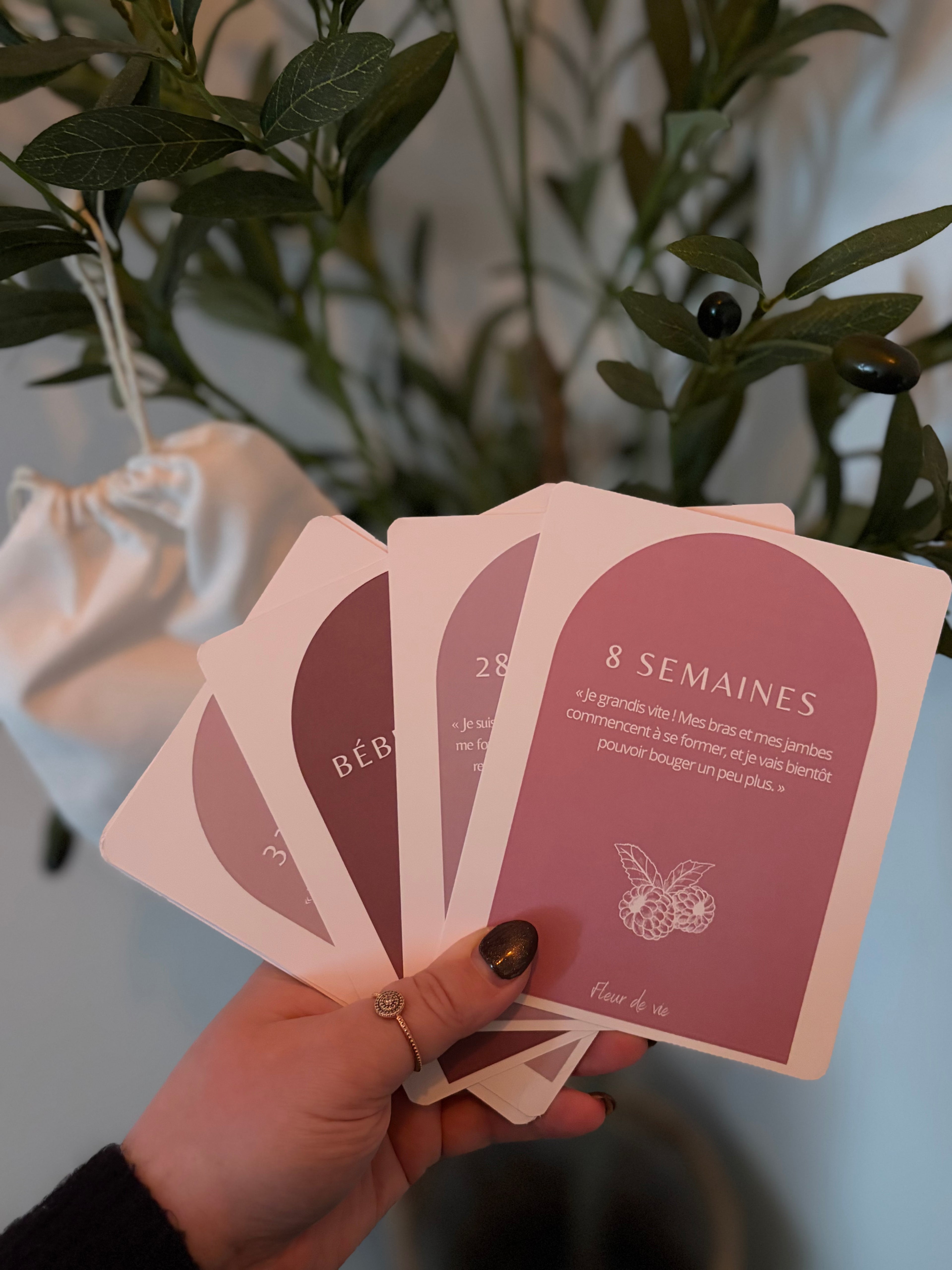 Cartes d'étape de Grossesse