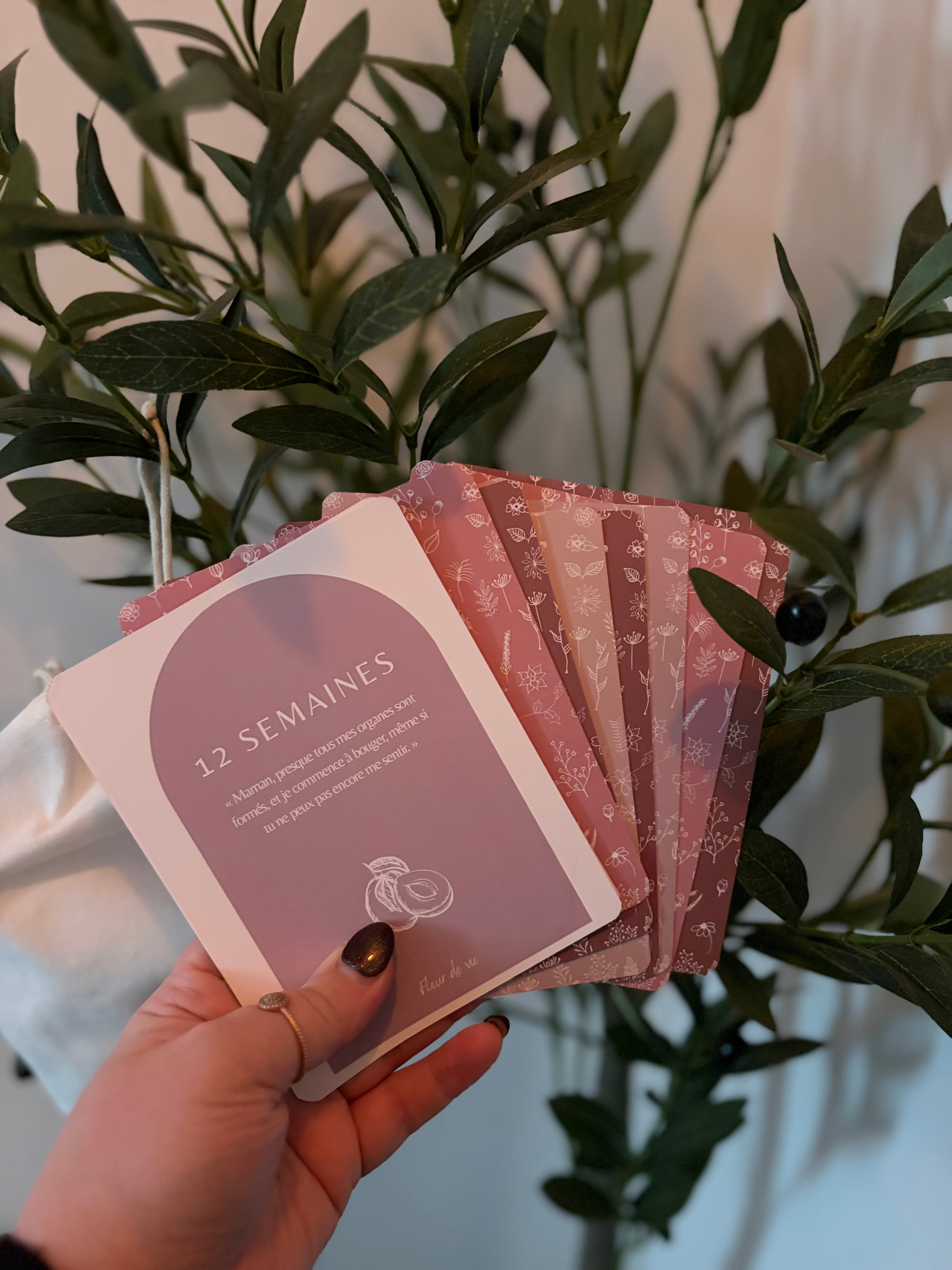 Cartes d'étape de Grossesse